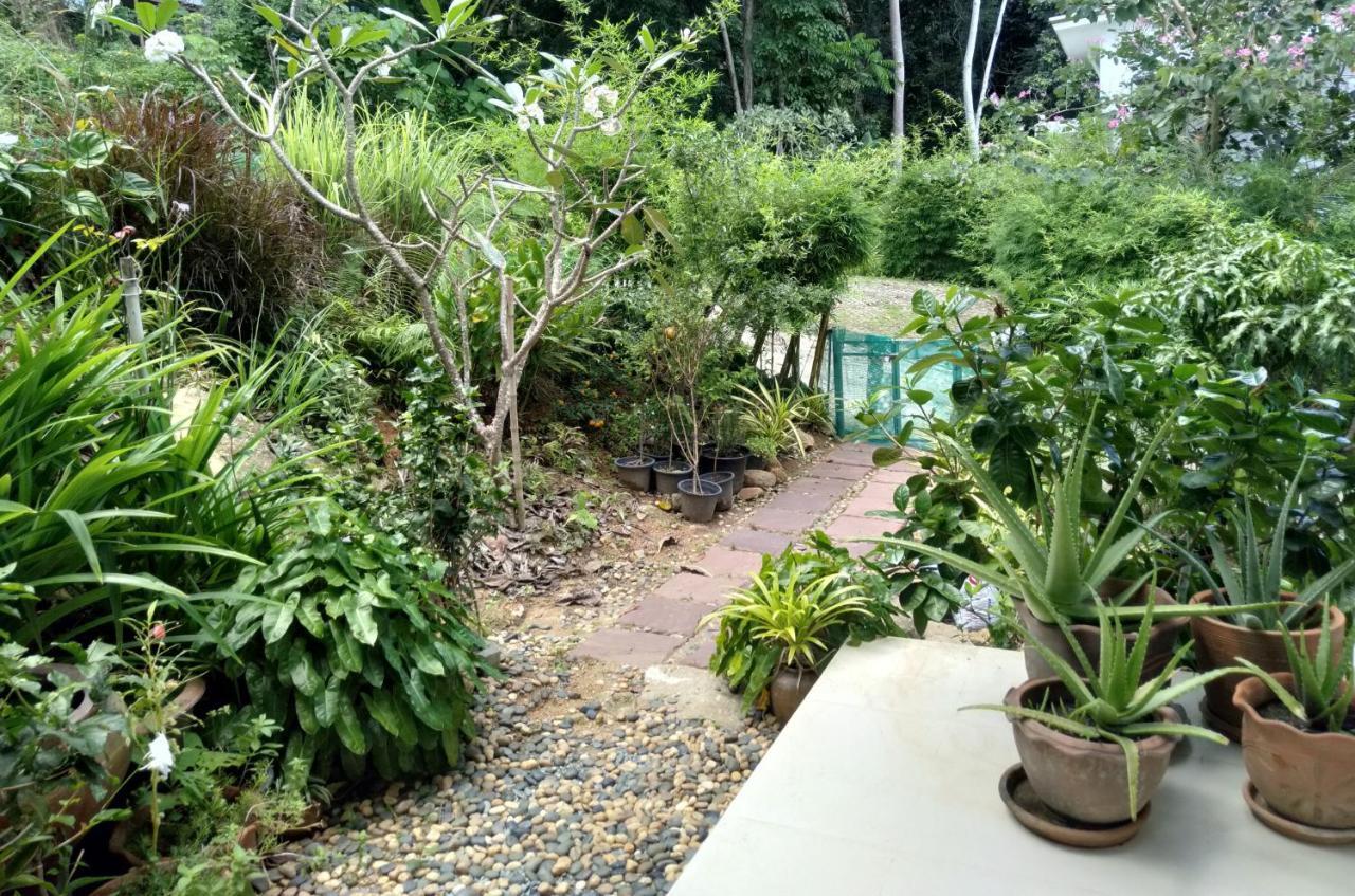 Perfect Sea View Mountain Villa Koh Samui Chaweng Exterior foto