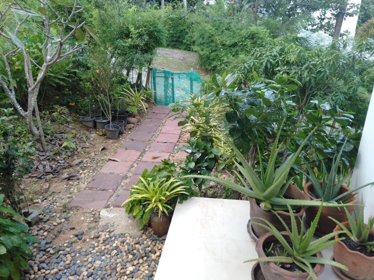 Perfect Sea View Mountain Villa Koh Samui Chaweng Exterior foto